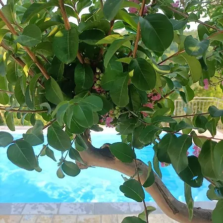 Ginevra Bed & Breakfast Pietralunga (Umbria)
