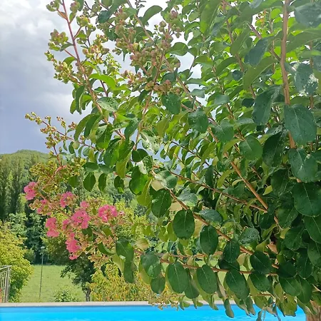 Ginevra