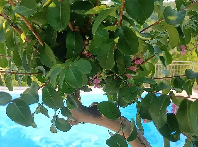 Ginevra Panzió Pietralunga